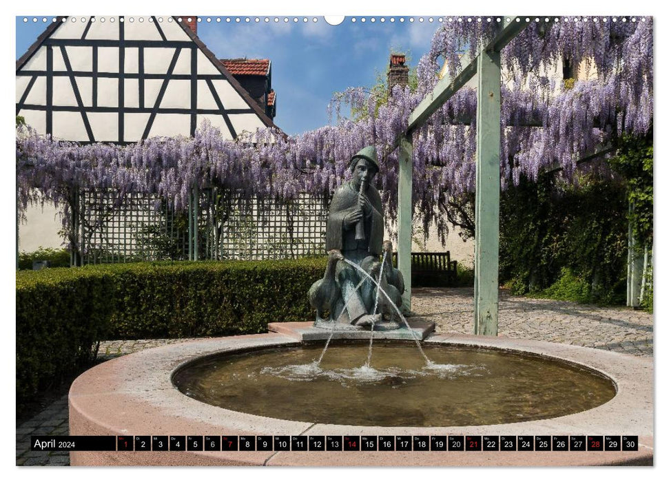 Schwetzingen city views (CALVENDO Premium wall calendar 2024) 