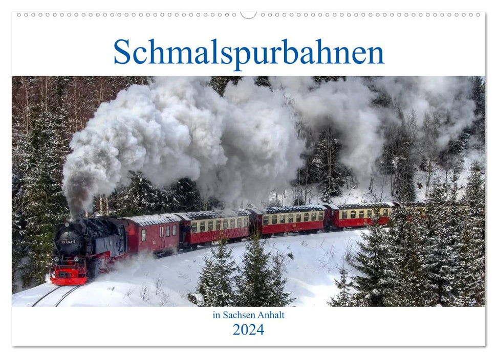 Narrow-gauge railways in Saxony Anhalt (CALVENDO wall calendar 2024) 
