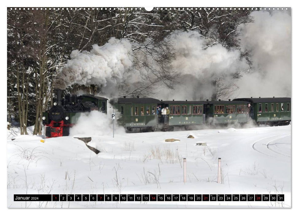 Narrow-gauge railways in Saxony Anhalt (CALVENDO wall calendar 2024) 