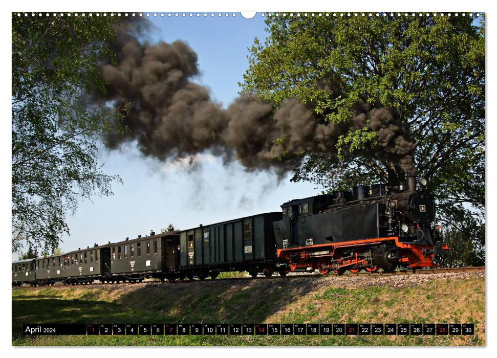 Narrow-gauge railways in Saxony Anhalt (CALVENDO wall calendar 2024) 