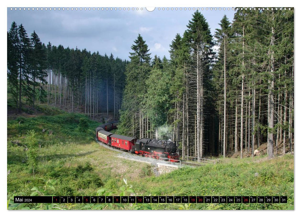 Narrow-gauge railways in Saxony Anhalt (CALVENDO wall calendar 2024) 