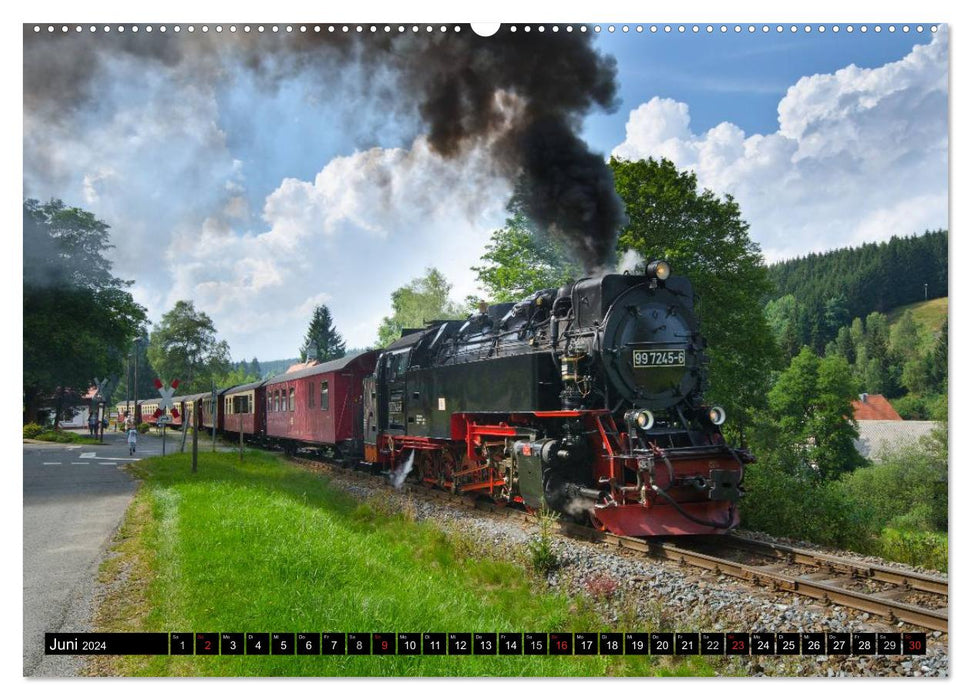 Narrow-gauge railways in Saxony Anhalt (CALVENDO wall calendar 2024) 
