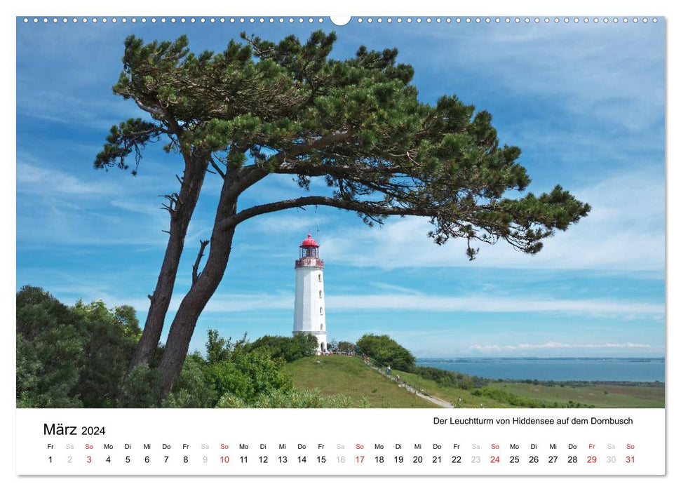 Rügen and Hiddensee (CALVENDO Premium Wall Calendar 2024) 