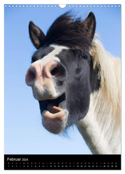 Icelandic horses in their homeland (CALVENDO wall calendar 2024) 