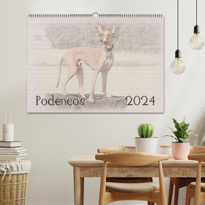 Podencos 2024 (CALVENDO Wandkalender 2024)