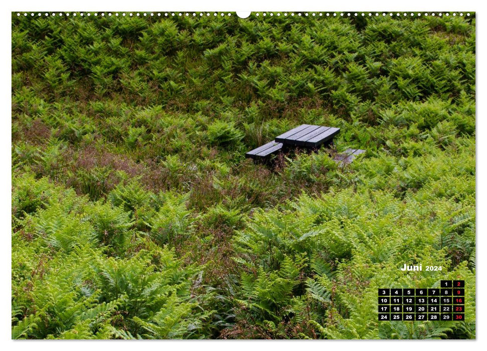 The Orkneys - Scotland's northern islands (CALVENDO wall calendar 2024) 