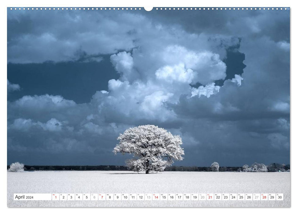 Magical infrared photography (CALVENDO Premium Wall Calendar 2024) 