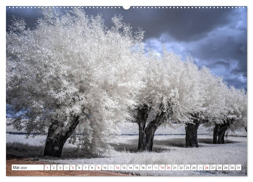 Zauberhafte Infrarot-Fotografie (CALVENDO Premium Wandkalender 2024)
