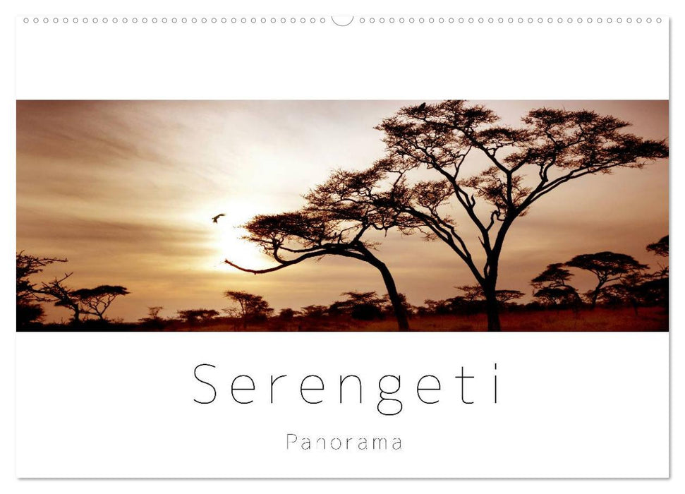 Serengeti Panorama (CALVENDO Wandkalender 2024)