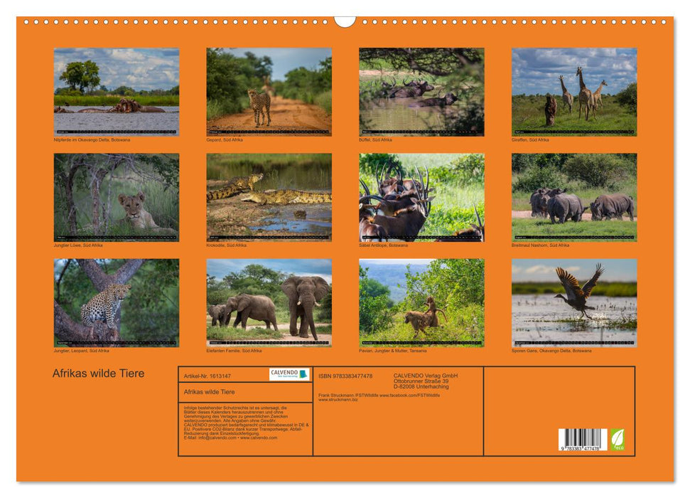 Afrikas wilde Tiere (CALVENDO Wandkalender 2024)