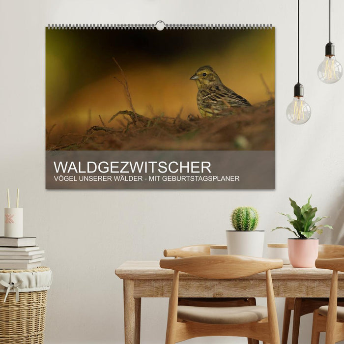 Forest chirping - birds of our forests (CALVENDO wall calendar 2024) 