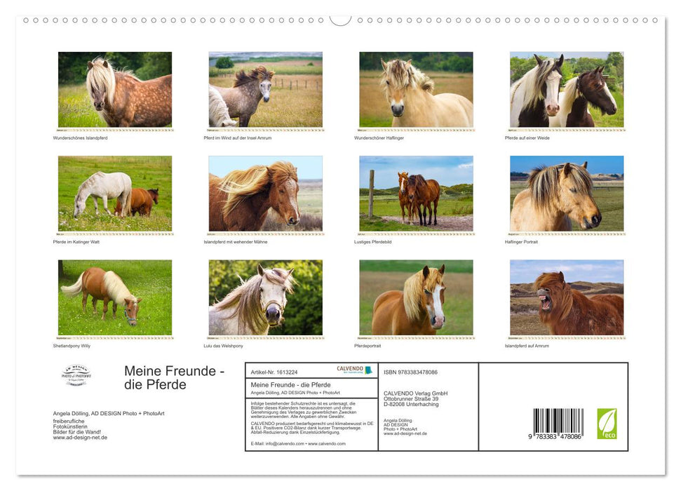 Mes amis - les chevaux (Calendrier mural CALVENDO Premium 2024) 