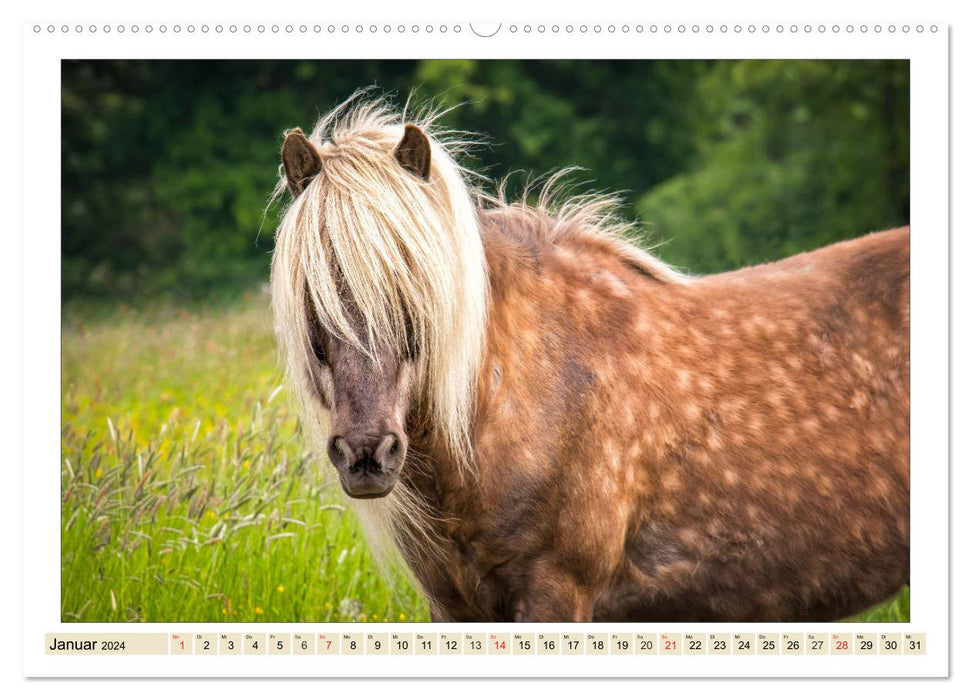 Mes amis - les chevaux (Calendrier mural CALVENDO Premium 2024) 