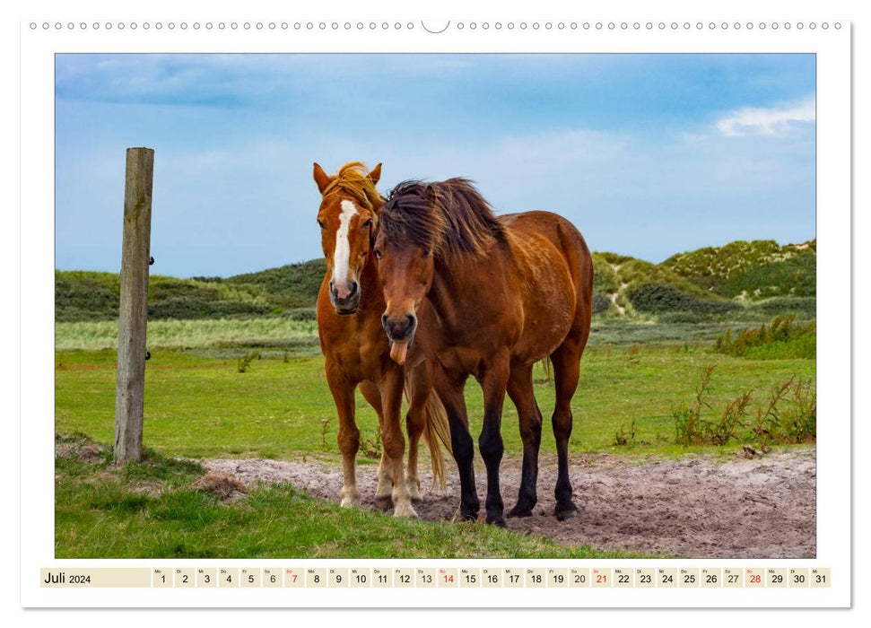 Mes amis - les chevaux (Calendrier mural CALVENDO Premium 2024) 