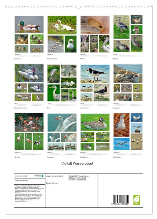 Diversity of water birds (CALVENDO Premium Wall Calendar 2024) 