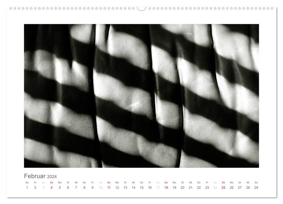 einfach schwarz-weiß (CALVENDO Premium Wandkalender 2024)