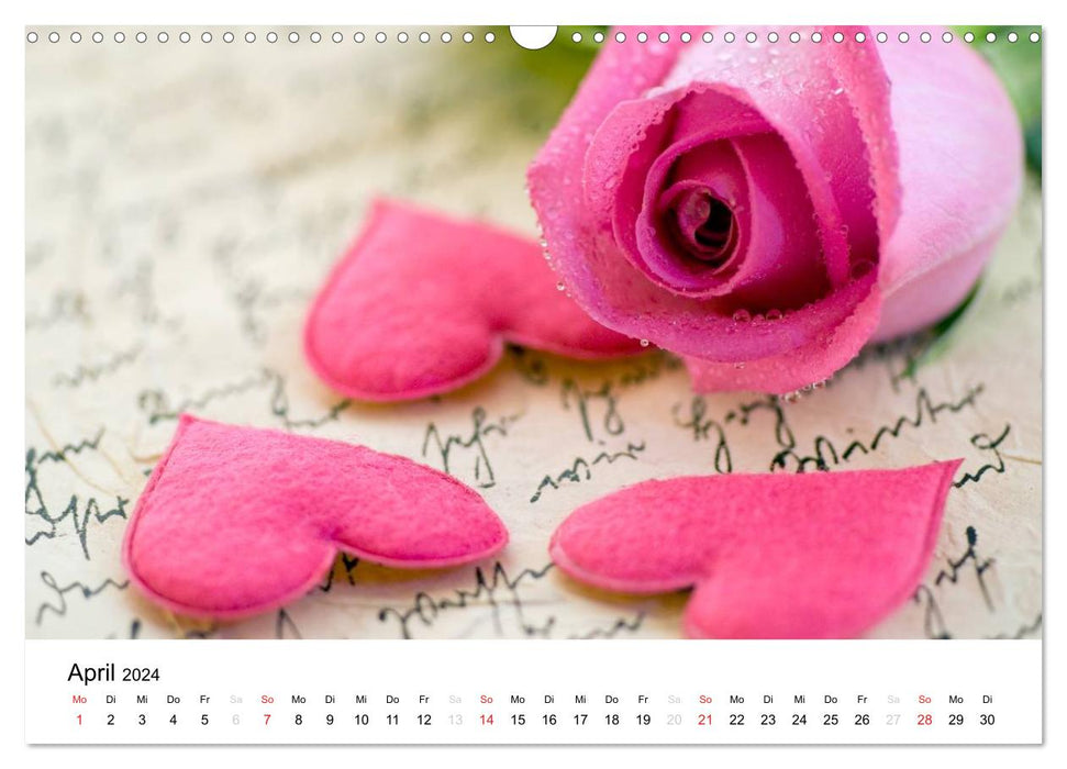 Mein Herz schlägt pink (CALVENDO Wandkalender 2024)