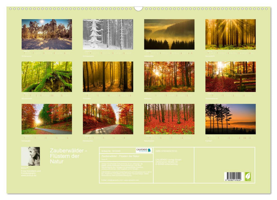 Zauberwälder - Flüstern der Natur (CALVENDO Wandkalender 2024)