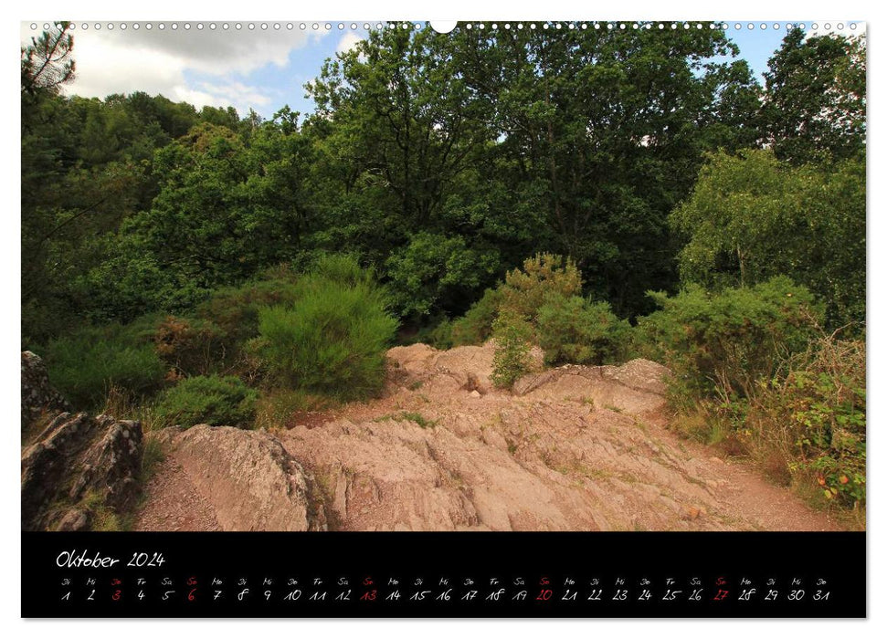 Brocéliande / Enchanted Forest of Brittany (CALVENDO wall calendar 2024) 