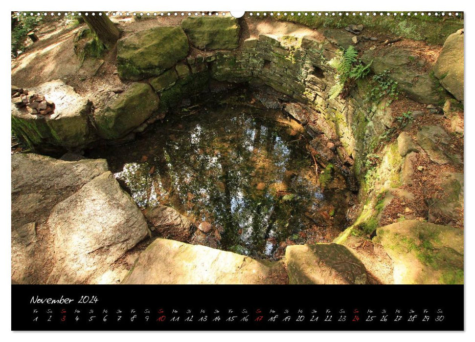 Brocéliande / Zauberwald der Bretagne (CALVENDO Wandkalender 2024)