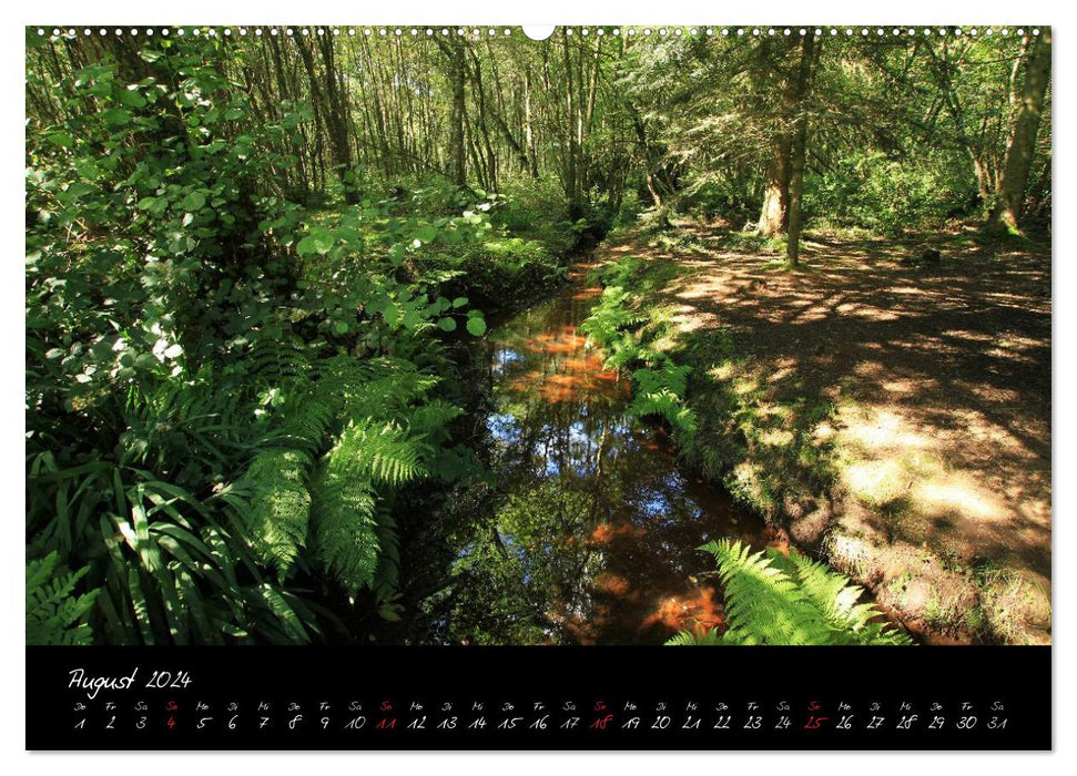 Brocéliande / Zauberwald der Bretagne (CALVENDO Wandkalender 2024)