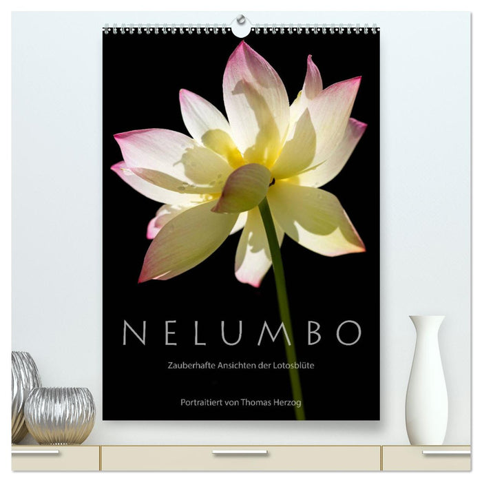 NELUMBO – Vues magiques de la fleur de lotus (Calendrier mural CALVENDO Premium 2024) 