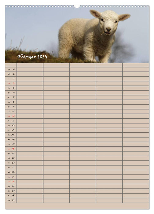The embarrassed family planner (CALVENDO Premium wall calendar 2024) 