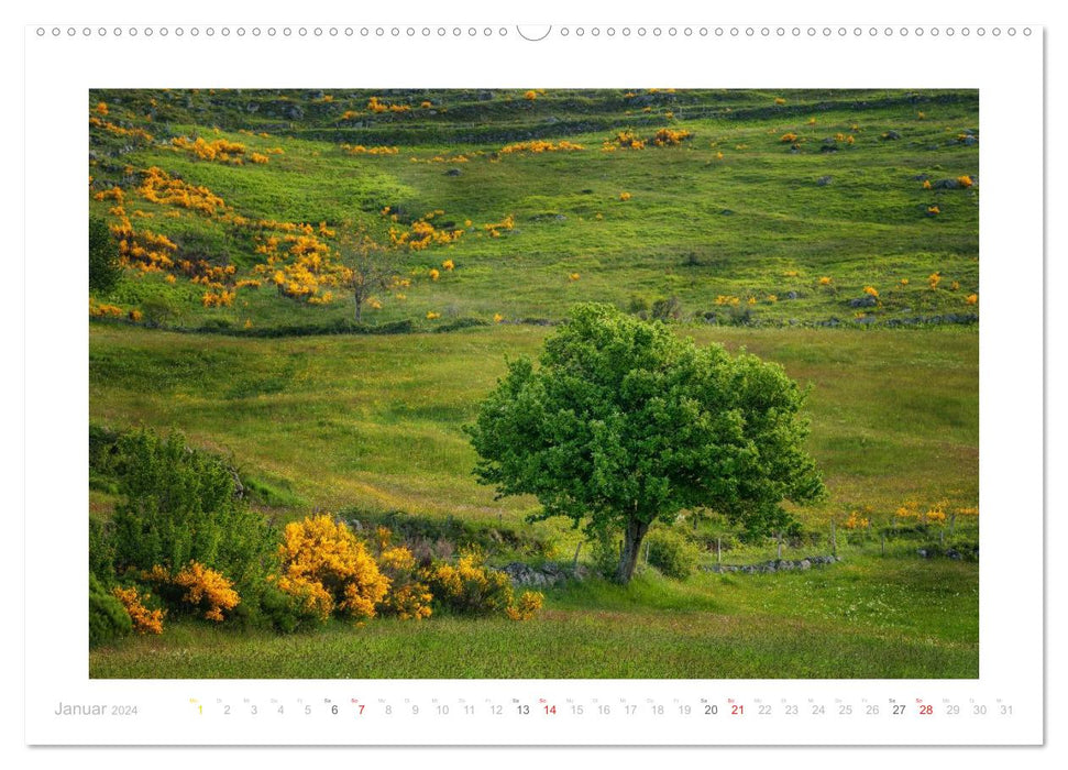 Incursion à travers la Provence (Calendrier mural CALVENDO Premium 2024) 