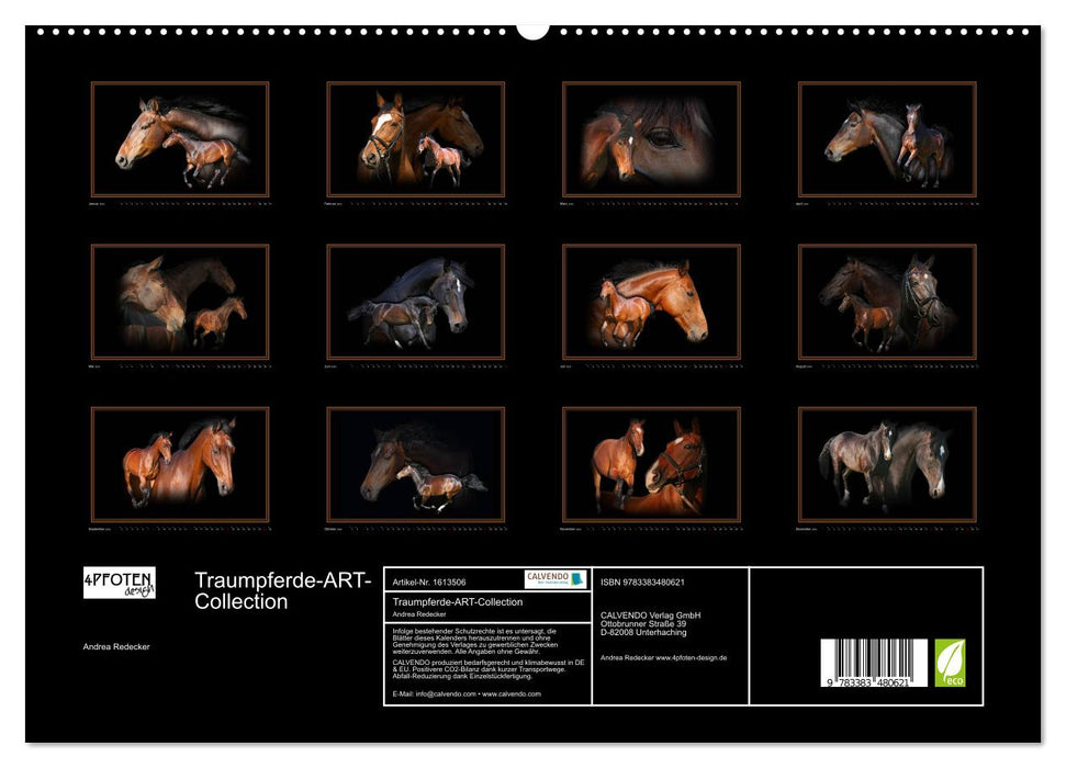 Collection Dream Horse ART (Calvendo Premium Calendrier mural 2024) 