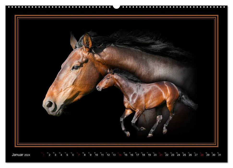 Traumpferde-ART-Collection (CALVENDO Premium Wandkalender 2024)