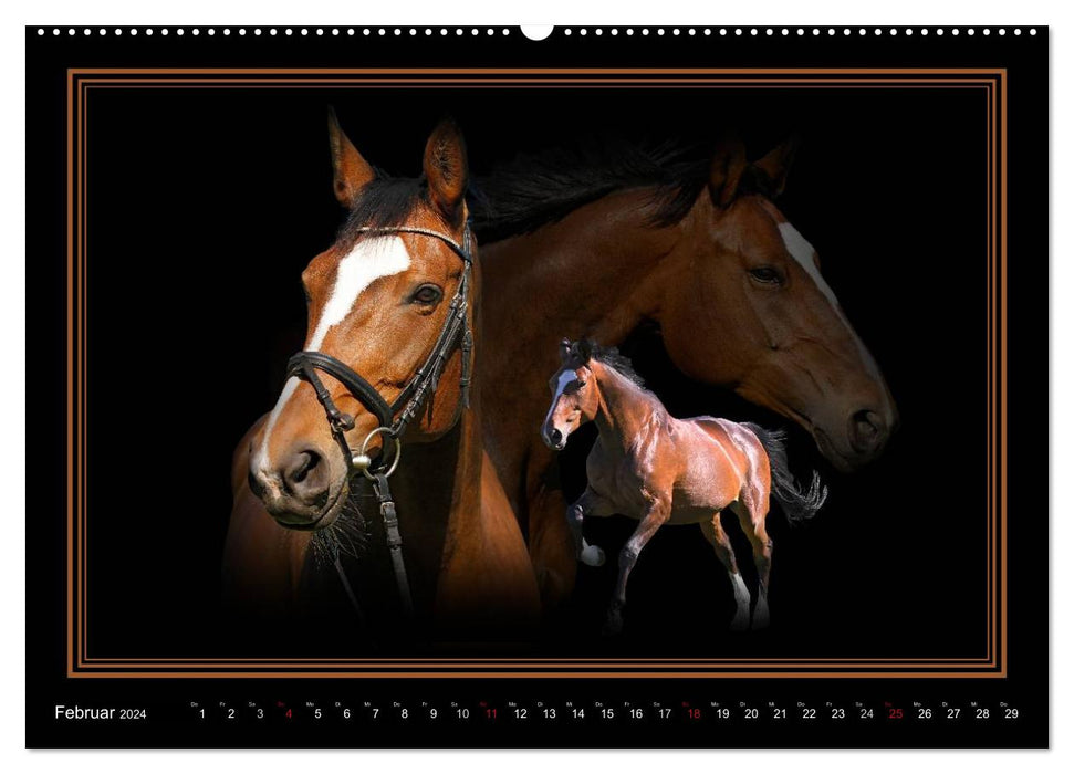 Collection Dream Horse ART (Calvendo Premium Calendrier mural 2024) 