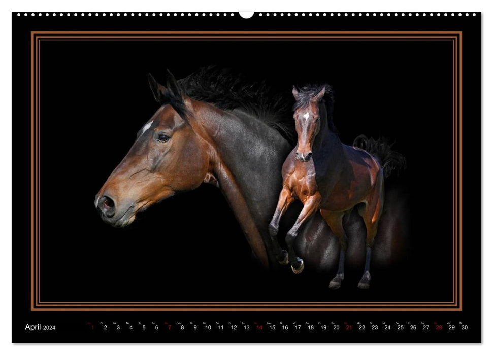 Collection Dream Horse ART (Calvendo Premium Calendrier mural 2024) 