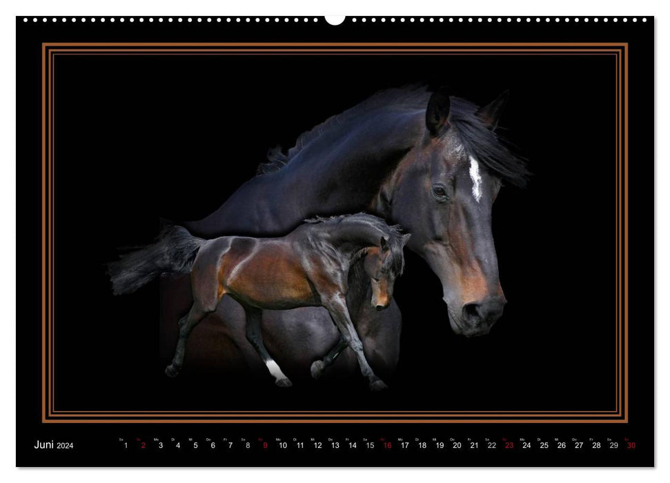 Dream Horse ART Collection (CALVENDO Premium Wall Calendar 2024) 