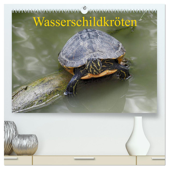 Wasserschildkröten (CALVENDO Premium Wandkalender 2024)