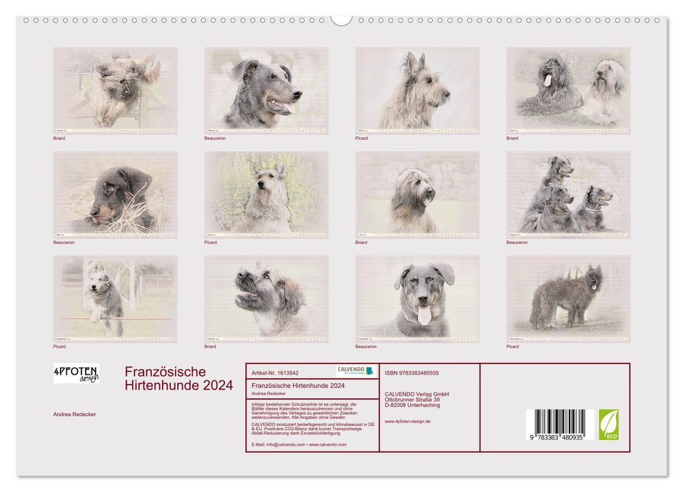 Französische Hirtenhunde 2024 (CALVENDO Premium Wandkalender 2024)