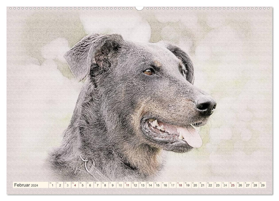 French Shepherd Dogs 2024 (CALVENDO Premium Wall Calendar 2024) 