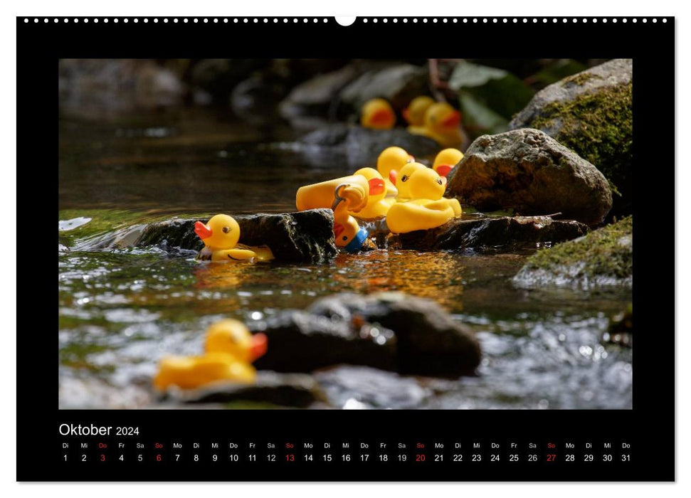 Duck race (CALVENDO wall calendar 2024) 