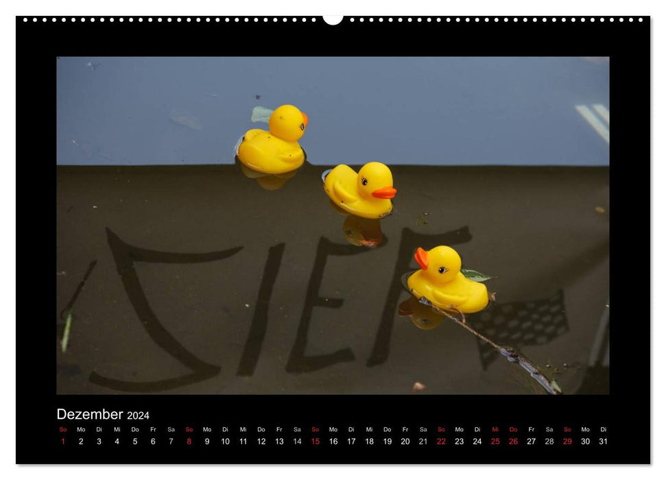 Duck race (CALVENDO wall calendar 2024) 