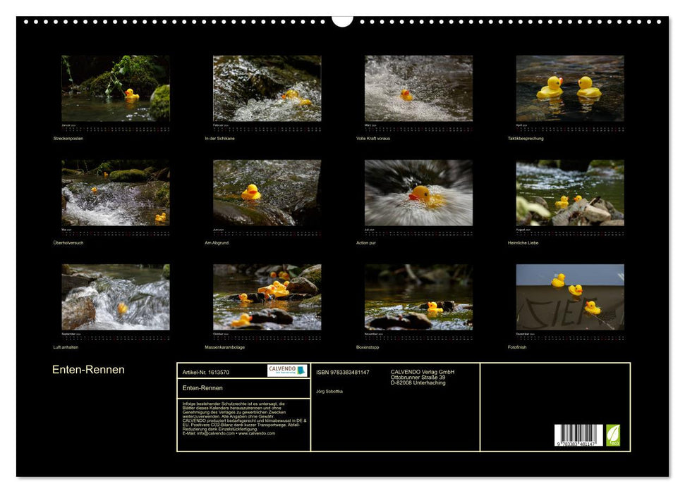 Duck race (CALVENDO wall calendar 2024) 