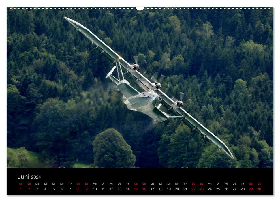 DO-24 ATT (CALVENDO Premium Wandkalender 2024)