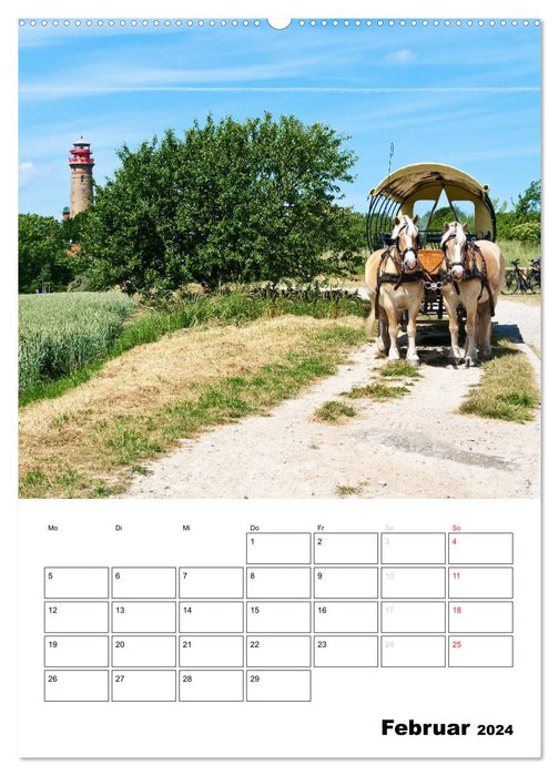 Rügen und Hiddensee - Bilder eines Sommers / Planer (CALVENDO Wandkalender 2024)