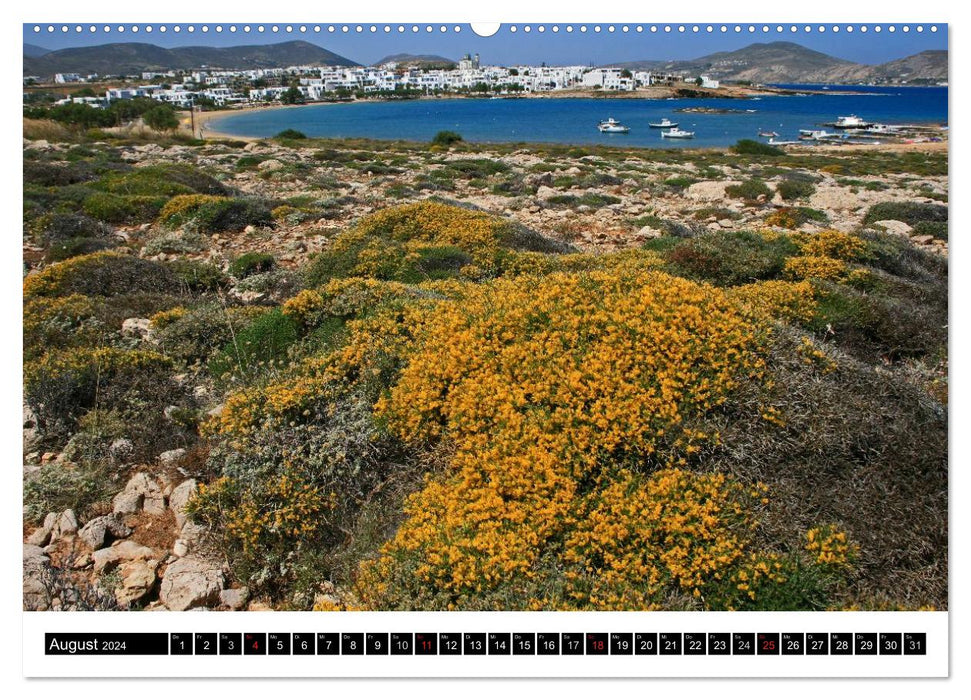 Inselhüpfen Kykladen Santorini - Naxos - Paros - Mykonos (CALVENDO Wandkalender 2024)