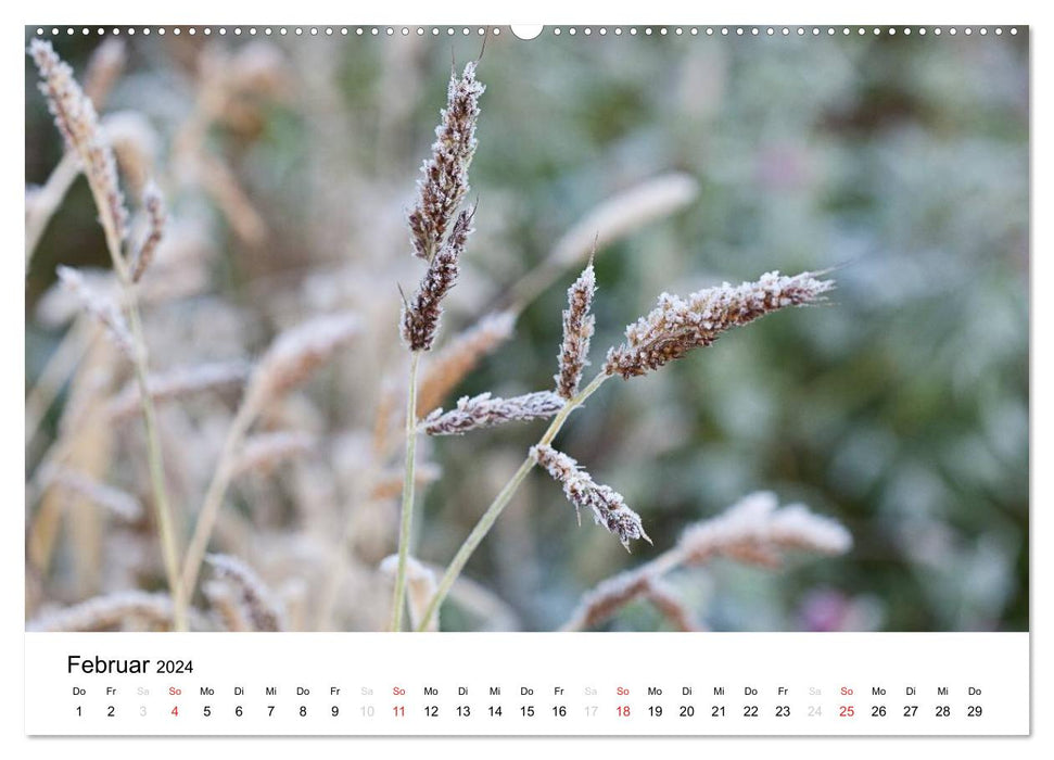 Mein Jahr im Landhausgarten (CALVENDO Wandkalender 2024)