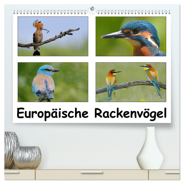 Europäische Rackenvögel (CALVENDO Premium Wandkalender 2024)
