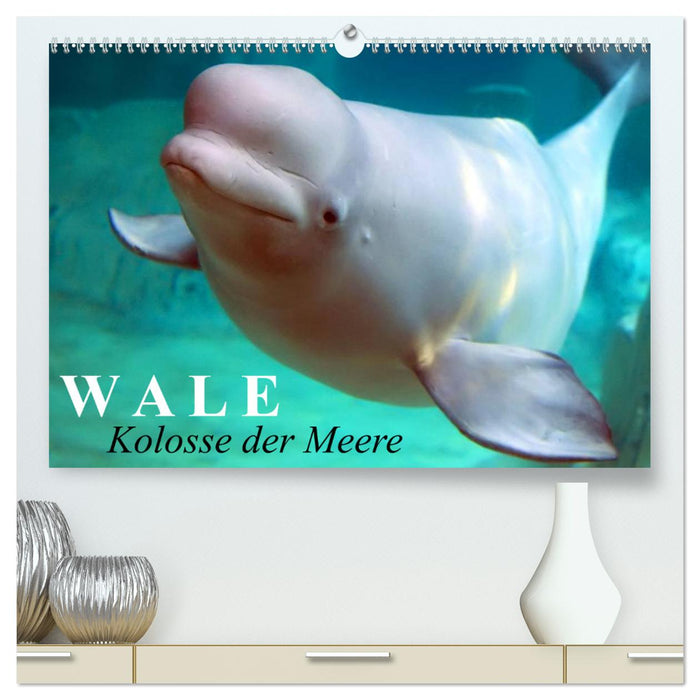Whales - Colossi of the Seas (CALVENDO Premium Wall Calendar 2024) 