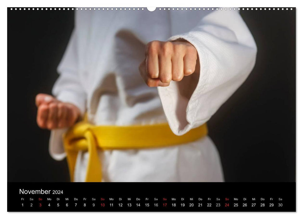 Martial arts (CALVENDO wall calendar 2024) 