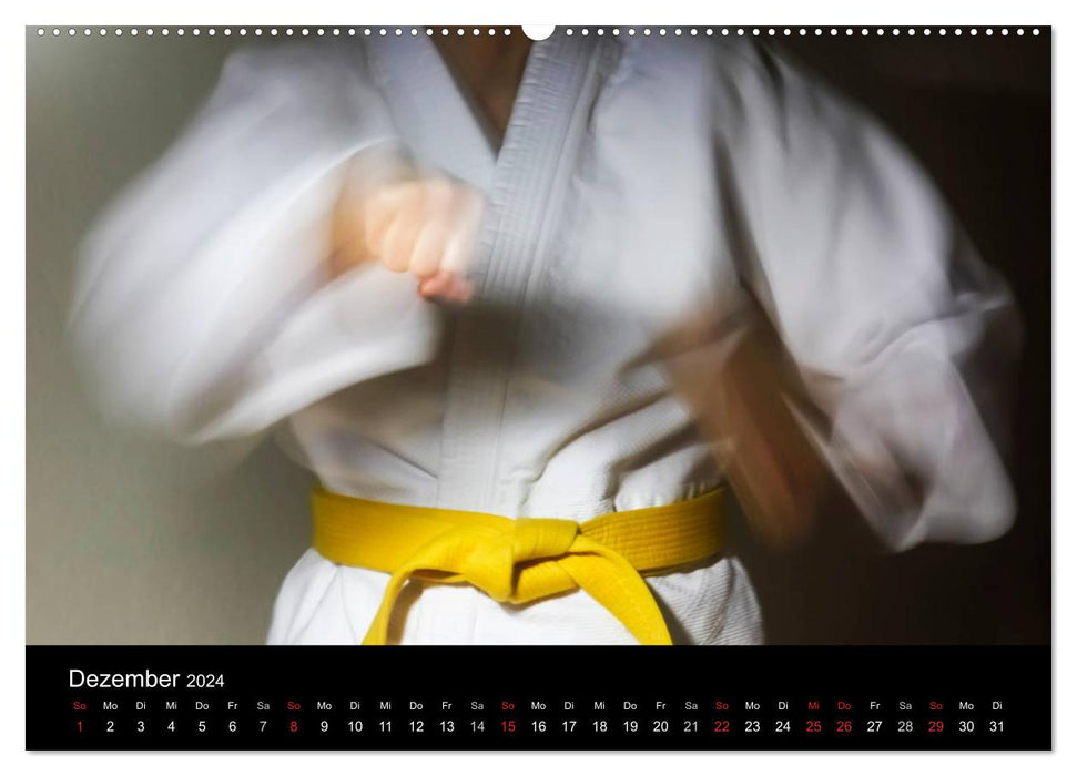 Martial arts (CALVENDO wall calendar 2024) 