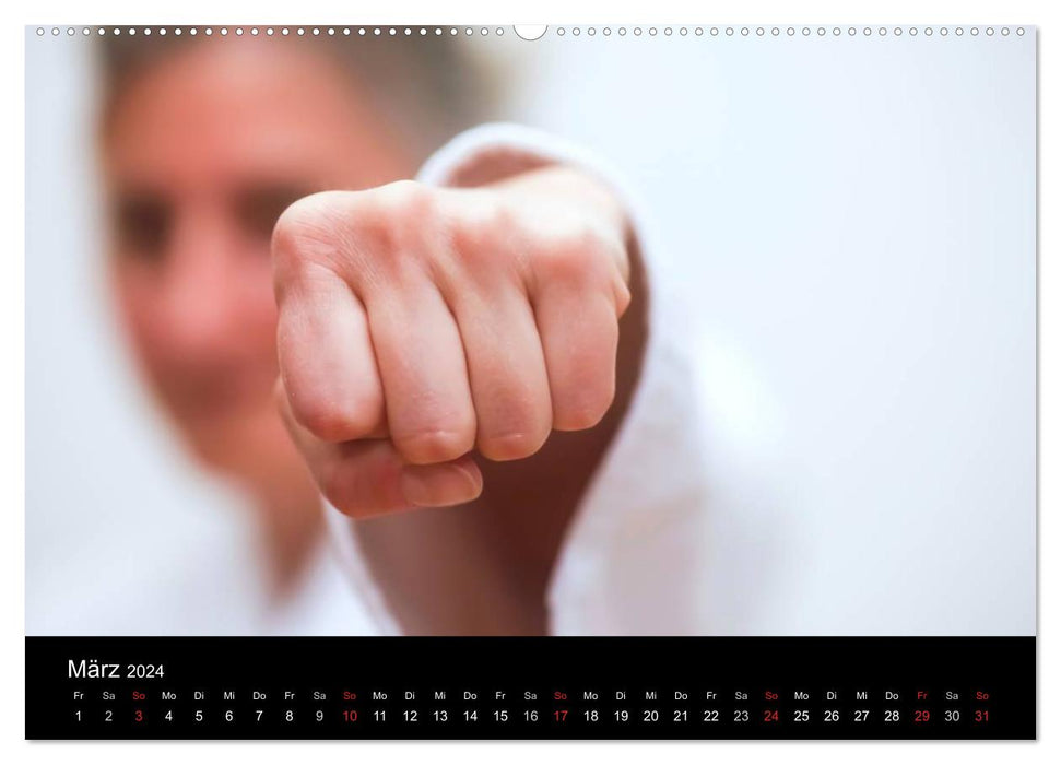 Martial arts (CALVENDO wall calendar 2024) 