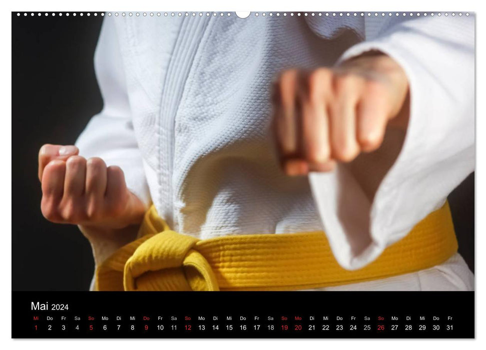 Martial arts (CALVENDO wall calendar 2024) 