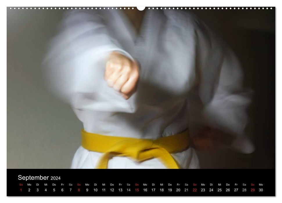 Martial arts (CALVENDO wall calendar 2024) 